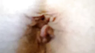 اندام نہانی پسینے کے صحنه های سکسی فیلمهای خارجی شاور کے ساتھ شاور میں دھونا