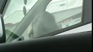 اس نے phallus سے کارسیٹ اور سہ فیلمهای سپر خارجی لیا