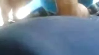 نوجوان تاجر خوبصورت فیلم سکسی خارجی زیرنویس سنہرے بالوں والی fucks