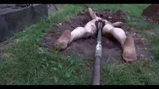 شیشے کی طرف سے بھاڑ میں دو لڑکیوں میں گرم ، شہوت فیلم های سینمایی سکسی خارجی انگیز درار